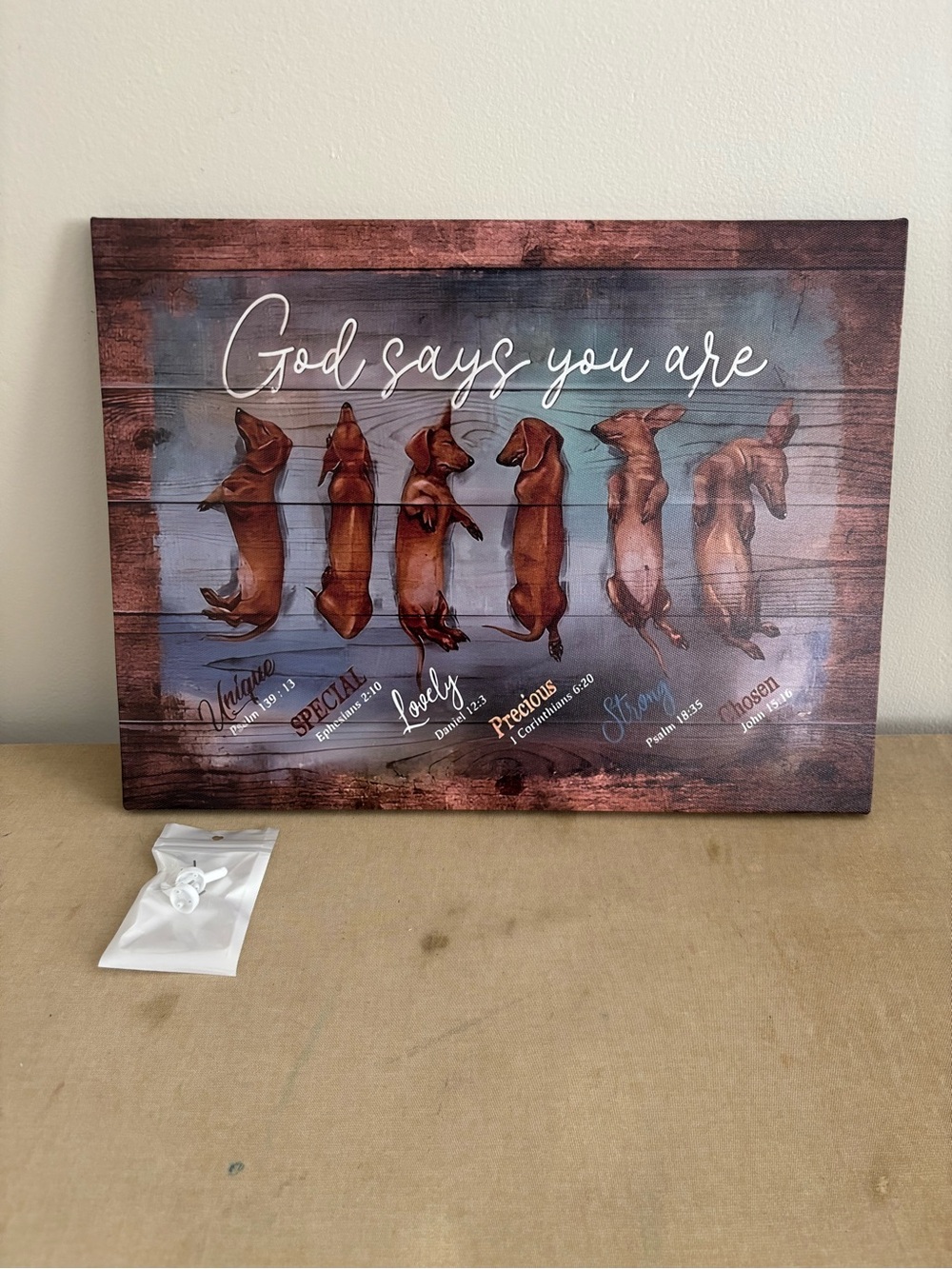 God Says You Are Wall Art - Dachshund Puppy Canvas - 15.75” x 12” x .5” - New